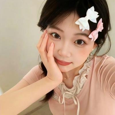 人民公仆第二季